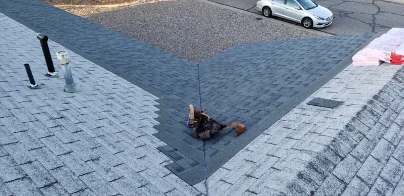 Shingle roofing installed by Michael's Home Improvements in Southern Utah