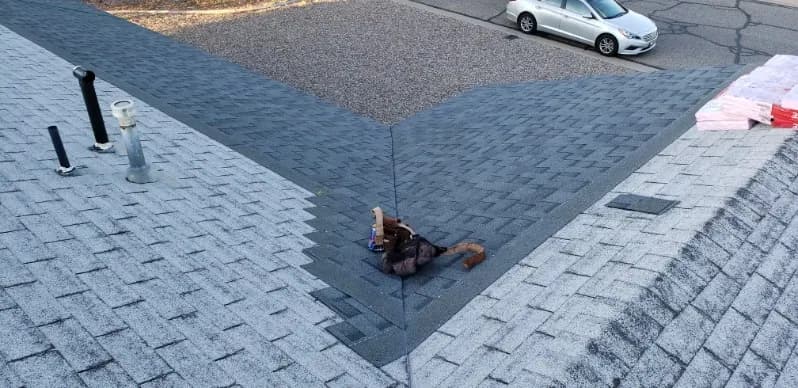 Shingle roofing installed by Michael's Home Improvements in Southern Utah