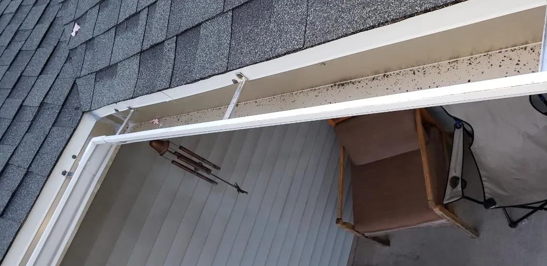 Worn shingle roof and a gutter full of debris before roof replacement in Southern Utah